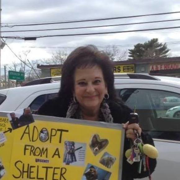 Meet your Posher, Joyce - Picture 1 of 1